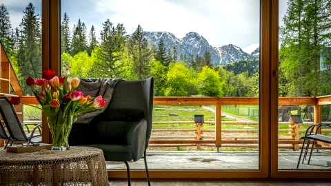 Biały Miś Apartamenty Art & Design Zakopane. Sztuka u podnóża Giewontu.