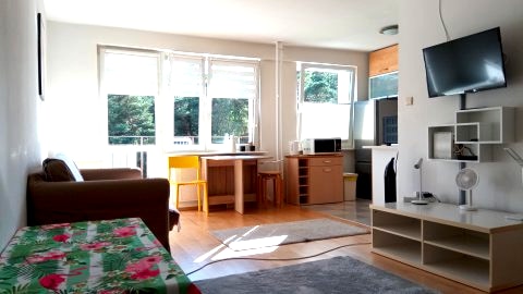 Salon z widokiem na las.