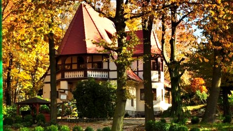 Lawendowe Wzgórze