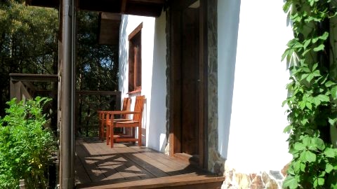 Domek w Sosnowym Lesie- Sauna