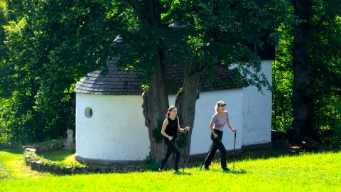 Końska Dolina | noclegi, stadnina, strefa SPA