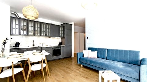 Salon z aneksem kuchennym