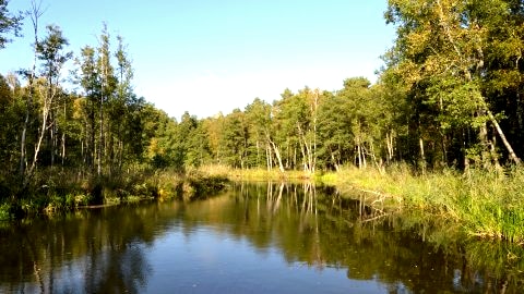 Perła Krutyni