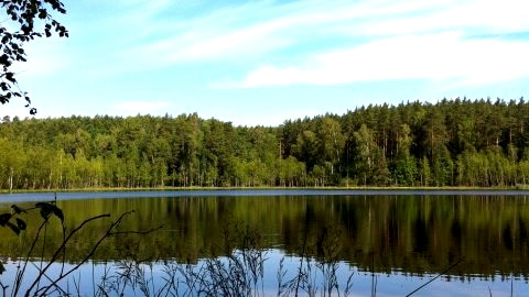 Perła Krutyni