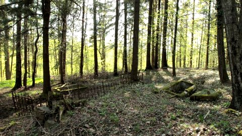 Wycieczka na Szeską Górę. Stary cmentarz.