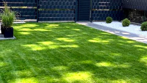APARTAMENT MIERZYN 
