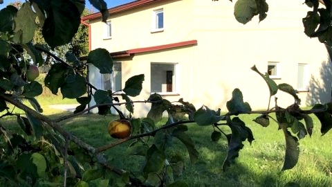 Wypoczynek w Borach