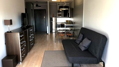 Salon z aneksem kuchennym