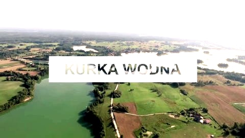 Domki na Mazurach Kurka Wodna 