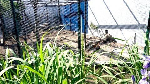 Mini zoo