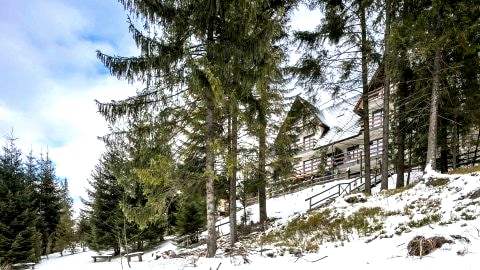 Apartament z widokiem na góry i las