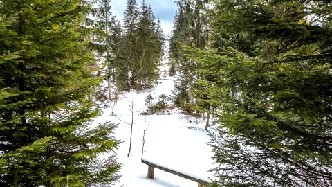 Apartament z widokiem na góry i las