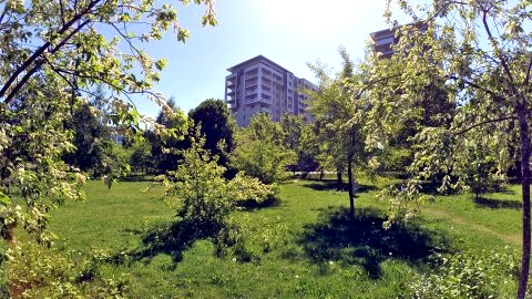 Apartament nad Morzem, mieszkanie, na wakacje, blisko plaży