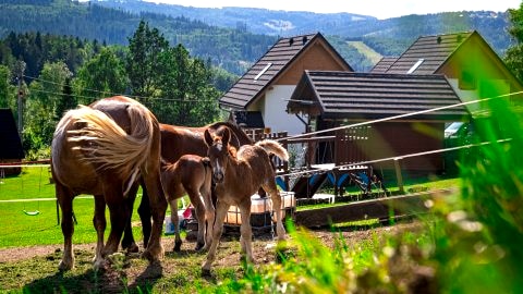 Osadowe Wzgórze Domki do Wynajęcia