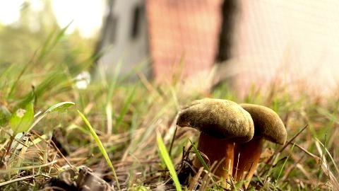  Leśna Polana - Twoje miejsce na ziemi schowane w środku lasu.