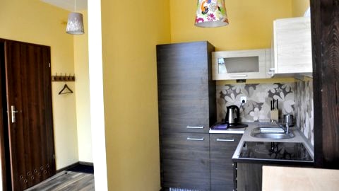 Klimatyczny apartament Kos w centrum Krakowa