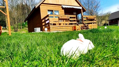 Lawendowy Taras, Drewniany domek na wsi w Górach Kaczawskich, Karkonosze