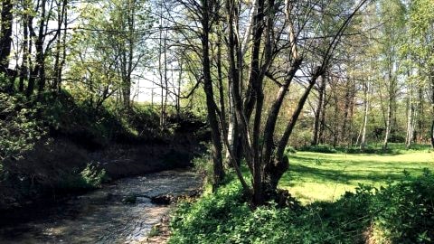 Całoroczne drewniane domki nad potokiem Sudety, Kotlina Kłodzka Niebieska Osada