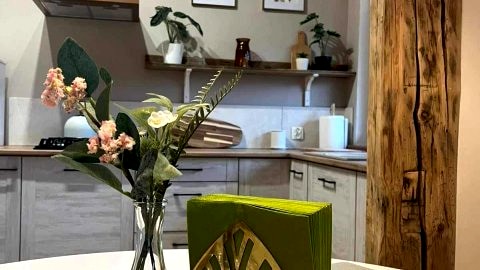 Przytulny apartament u podnóża Wielkiej Sowy 