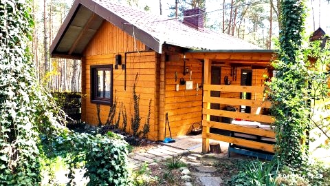 Domek Całoroczny w lesie nad jeziorem Sulejowskim, Barkowice Mokre