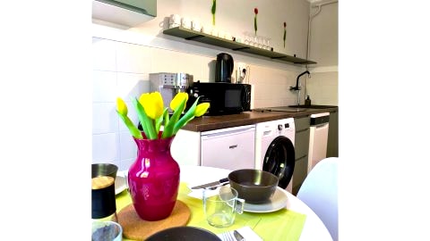 Lokal 40 - apartament w samym centrum