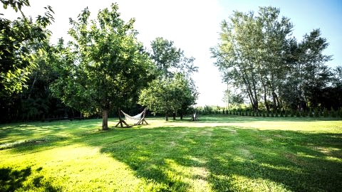 Agroturystyka Zacisze 