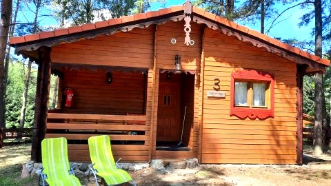 Echo Lasu - domek w środku lasu z basenem i sauną