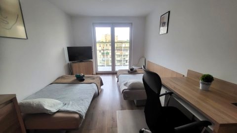 Focus apartment 
