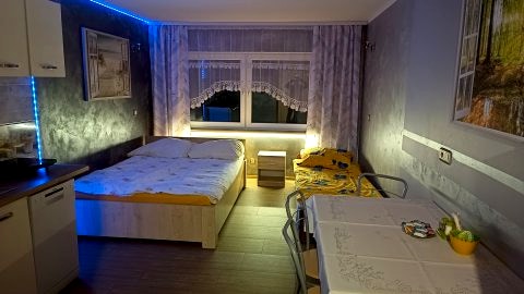 Pokoje i apartamenty w sąsiedztwie lasu w cichej okolicy. Plac zabaw, grill. 