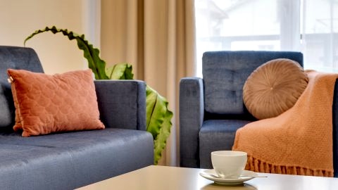 Lion Apartments - Porto All