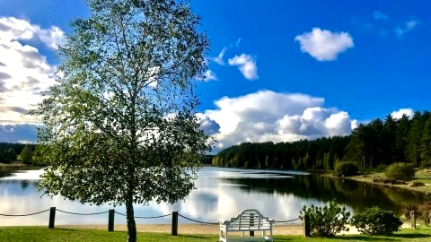 Widok na jezioro