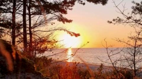 POSESJA APARTAMENTY - Posesja Kapitańska