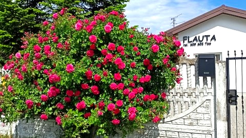 Flauta Apartamenty Rodzinne