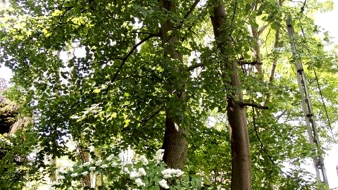 Samodzielny apartament centrum Gdańska ,Gdańsk ul.Długie Ogrody 18