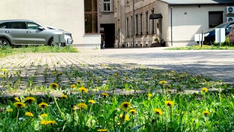 Perła Śródmieścia & Parking