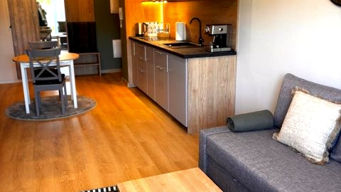 Oliwkowy Apartament