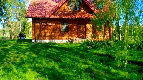 Biebrza safari