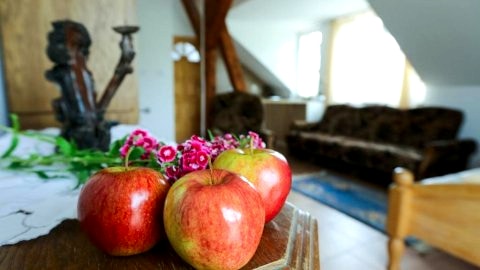 Noclegi Mazury w spokojnym miejscu niedaleko jeziora