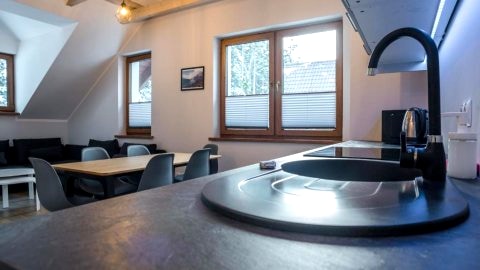 Aston - przestronny domek przy lesie