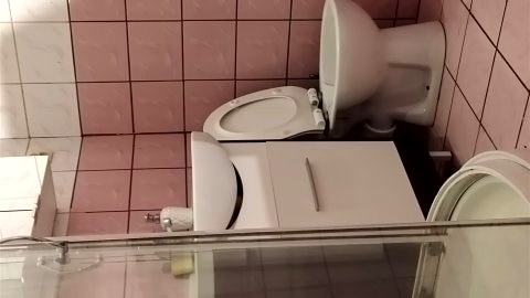 Pokój w prywatnym mieszkaniu w samym centrum Wrocławia