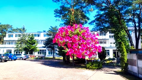 KOMFORTOWE POKOJE PRZY PLAŻY