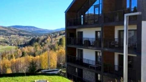Apartament Loft- IzerSKI Resort