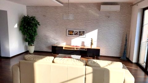 Dream Apartment