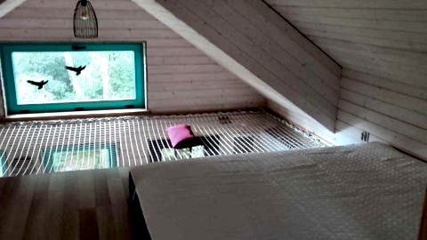 Węgiełek Treehouse Little Barn