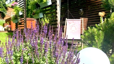 Lawendowo- sauna, jacuzzi, domki w ogrodzie i apartamenty w kamienicy