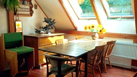 Dziupla
