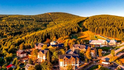 Forest Park Resort & SPA
