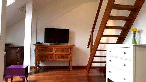 Apartament Nowy Świat