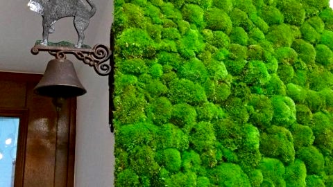 Apartament Starowiślna