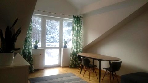 Leśny Loft